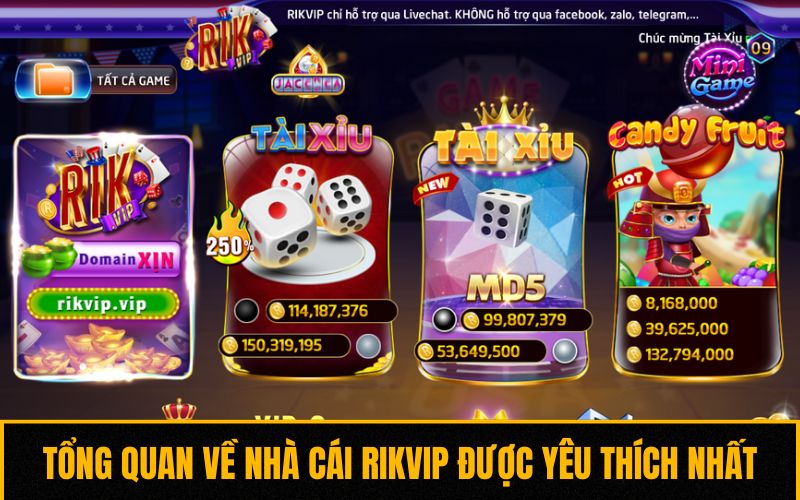 Tổng quan về nhà cái Rikvip được yêu thích nhất