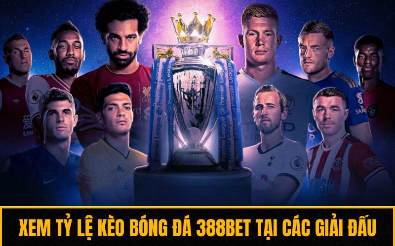 Xem tỷ lệ kèo bóng đá 388bet tại các giải đấu