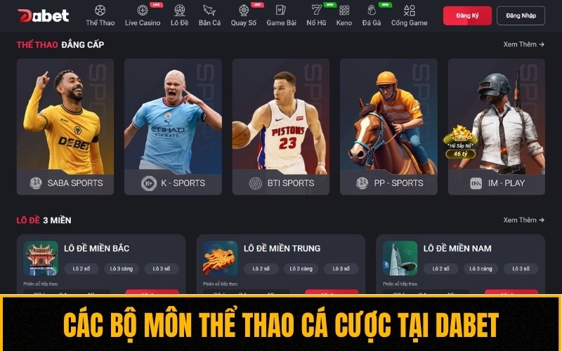 Sơ lược về các bộ môn thể thao áp dụng cá cược trực tuyến tại Dabet