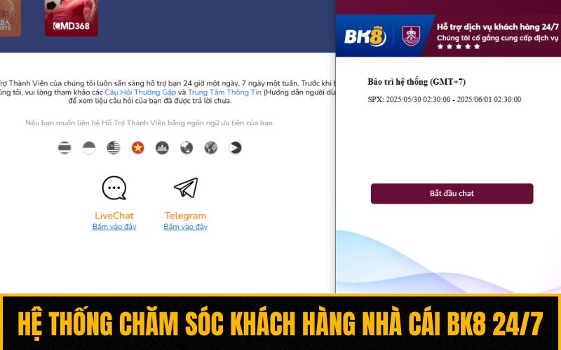 Hệ thống chăm sóc khách hàng nhà cái BK8 24/7
